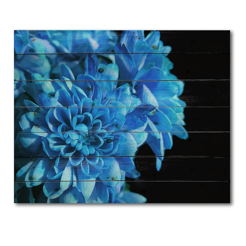Designart - Detail of Blue Flowers On Black I