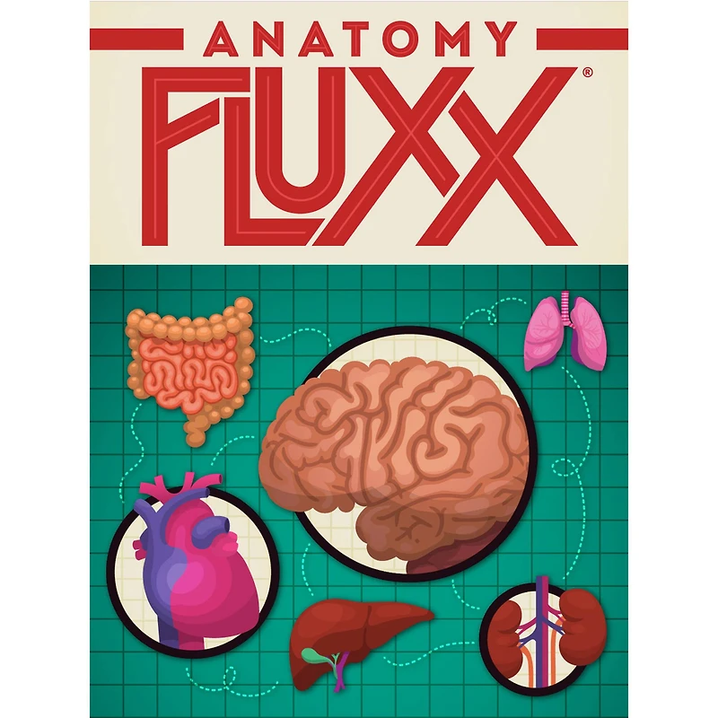 Looney Labs Anatomy Fluxx® Card Game