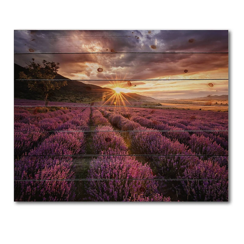 Designart - Sunrise & Dramatic Clouds Over Lavender Field IV