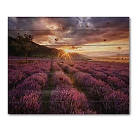 Designart - Sunrise & Dramatic Clouds Over Lavender Field IV