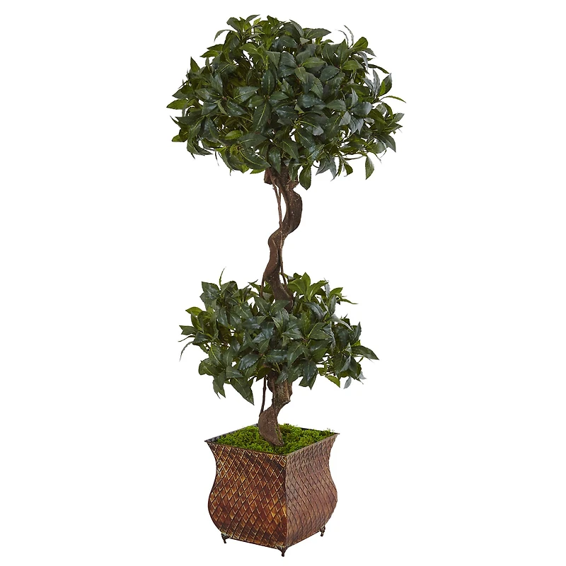 4.5ft. Sweet Bay Magnolia Double Topiary Tree in Metal Planter