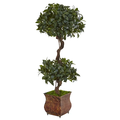 4.5ft. Sweet Bay Magnolia Double Topiary Tree in Metal Planter