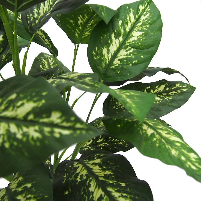 3ft. Green & White Diffenbachia Plant