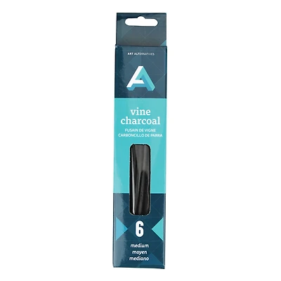 24 Pack: Art Alternatives Vine & Willow Medium Charcoal Set