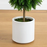 3.5ft. UV Resistant Cedar Double Ball Topiary Tree in White Decorative Planter