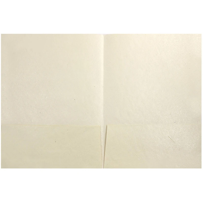 JAM Paper Ivory Metallic Handmade Folders, 100ct.