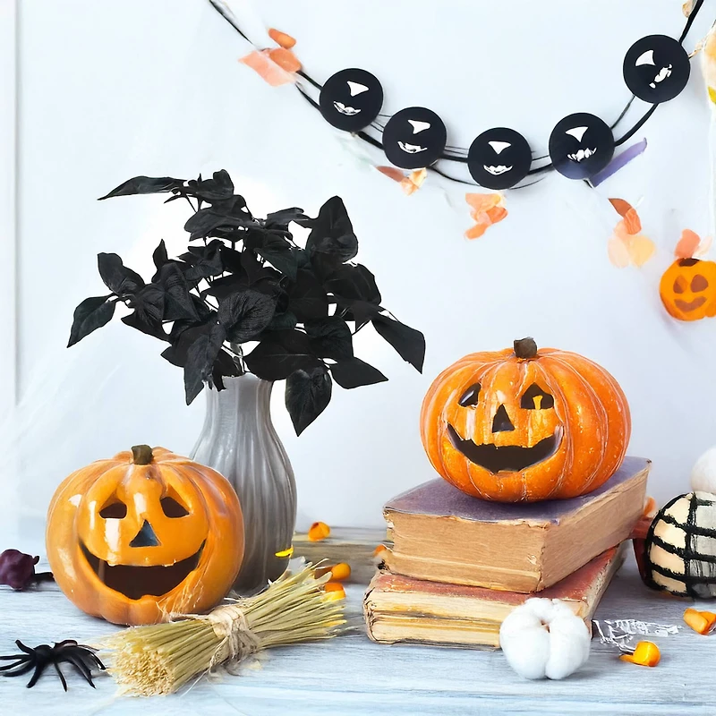 14" Black Philodendron Bush by Ashland®