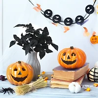 14" Black Philodendron Bush by Ashland®