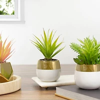 7" Potted Green Sword Grass Plant