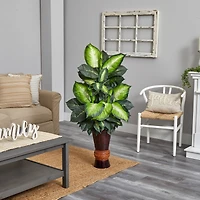 4ft. Golden Dumb Cane in Bamboo Planter