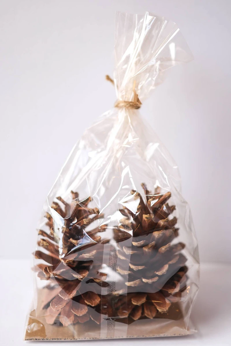 Natural Long Leaf Pinecones, 2ct. by Ashland®