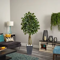 6.5ft. UV Resistant Ficus Artificial Tree in Slate Planter