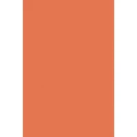 Pacon® Spectra® Art Tissue™ Sheets, 24ct.