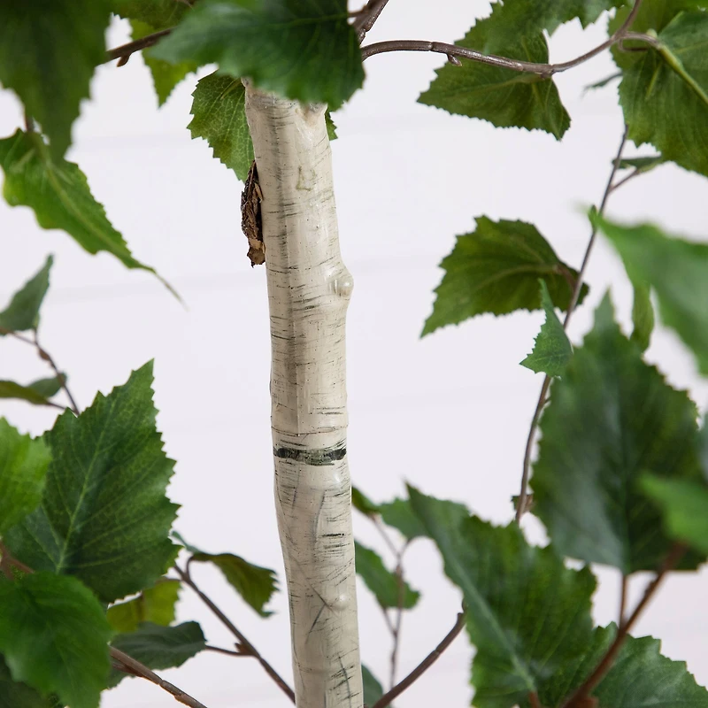 7ft. Birch Tree in Black Planter
