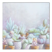 Cactus Pots 20" x 20" Canvas Wall Art