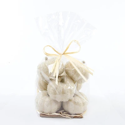 Flora Bunda® Beaded Cream Pumpkins Set