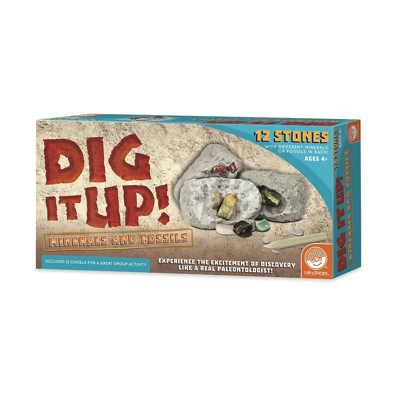 Dig It Up! - Minerals and Fossils