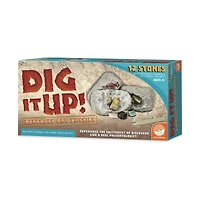 Dig It Up! - Minerals and Fossils