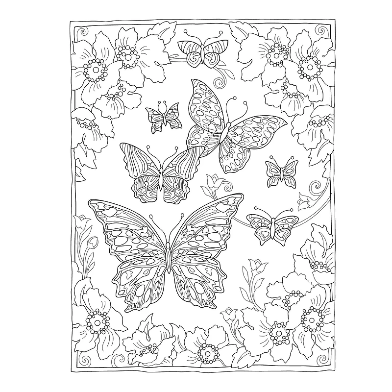 Dover Publications Creative Haven: Butterflies Flights Book