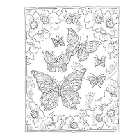 Dover Publications Creative Haven: Butterflies Flights Book