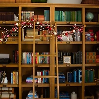 6ft. Artificial Valentine's Day Heart & Berry Twig Garland