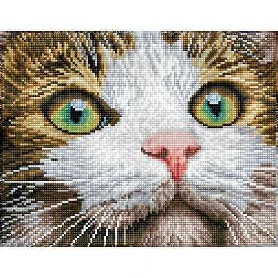 Diamond Dotz® Intermediate Green Eyed Beauty with Frame Diamond Painting Kit