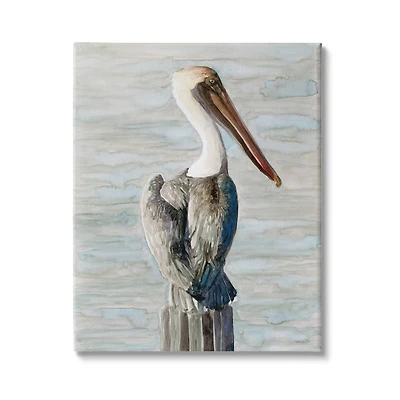 Stupell Industries Long Beak Pelican Watercolor Painting Coastal Waterfowl Bird Canvas Wall Art