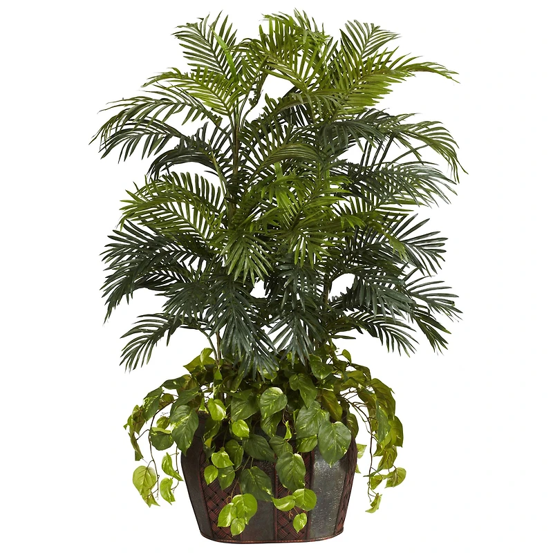 4.5ft. Double Areca Palm & Pothos in Vase