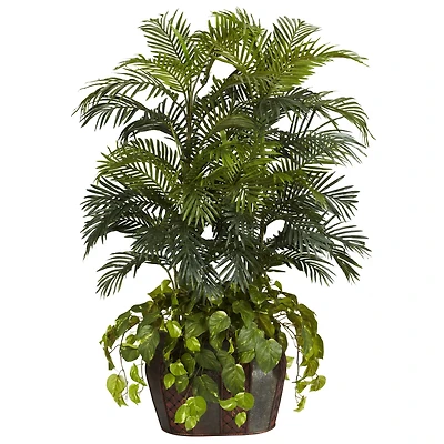 4.5ft. Double Areca Palm & Pothos in Vase