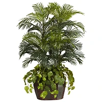 4.5ft. Double Areca Palm & Pothos in Vase