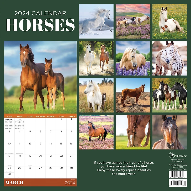 TF Publishing 2024 Horses Wall Calendar