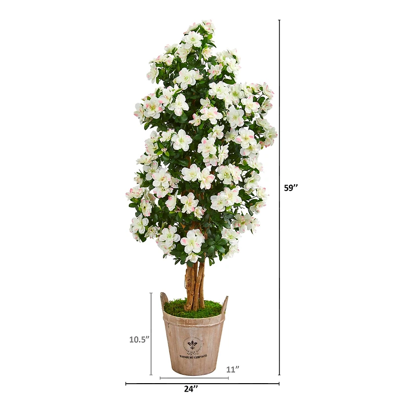 5ft. Azalea Tree in Farmhouse Planter