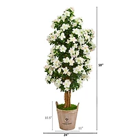 5ft. Azalea Tree in Farmhouse Planter