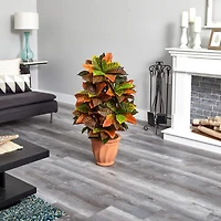 3.5ft. Croton Plant in Terra Cotta Planter