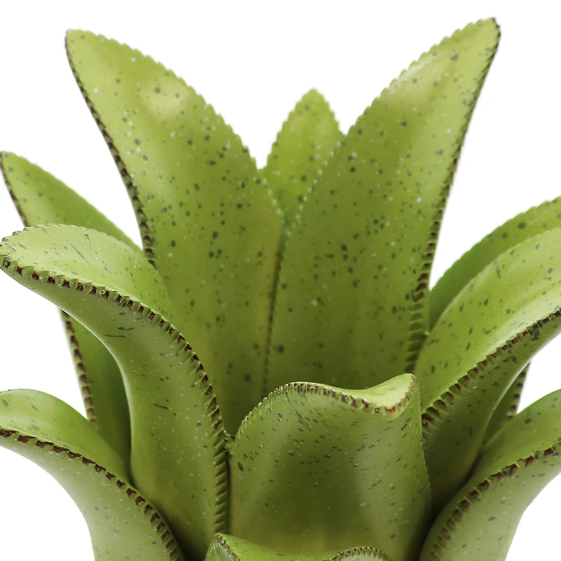 7" Green Aloe Decorative Container by Ashland®