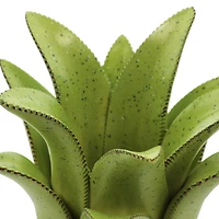 7" Green Aloe Decorative Container by Ashland®