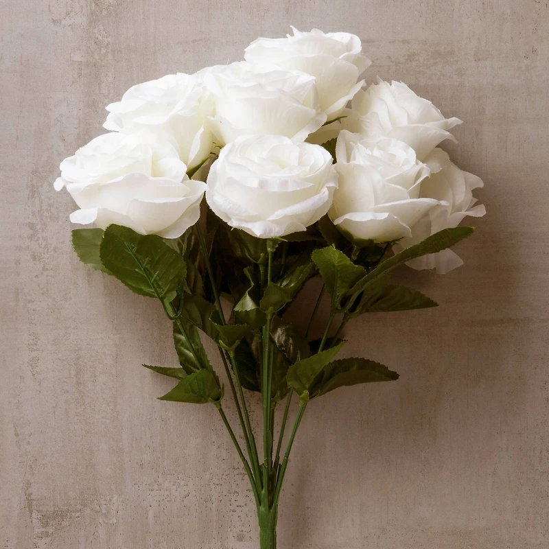 Cream Rose Bush by Ashland®