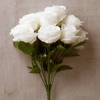 Cream Rose Bush by Ashland®