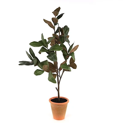 41" Potted Magnolia Tree Topiary