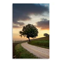 Lumaprints Tuscan Farm Road Sunrise No.2 Canvas Wall Art