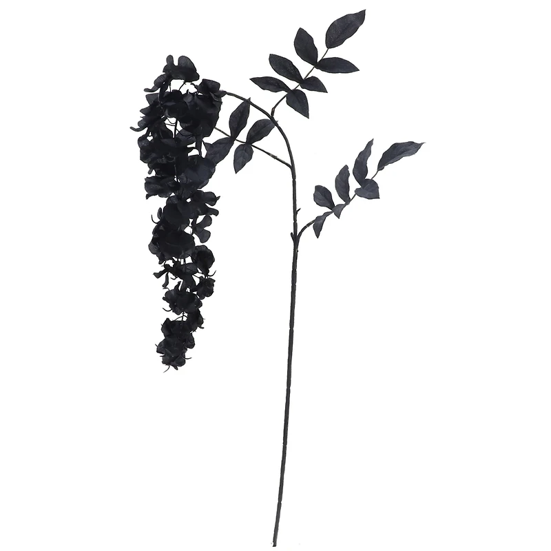 12 Pack: Black Wisteria Stem by Ashland®