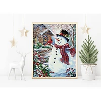 Diamond Dotz® Intermediate Snowman & Feathered Friend Diamond Facet Art Kit