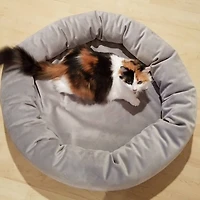 Royal Pet Bed Washable Luxury Velvet Dog Bed