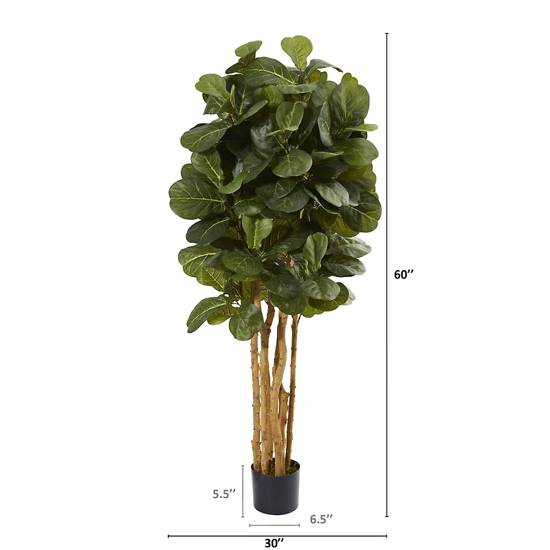 5ft. Potted Fiddle Leaf Fig Tree