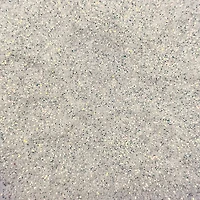 Iridescent Brights Glitter Pack by Recollections™