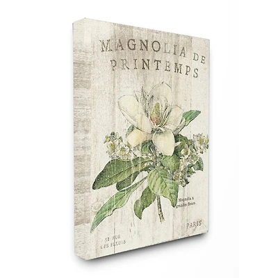 Stupell Industries French Magnolias In Spring Canvas Wall Art