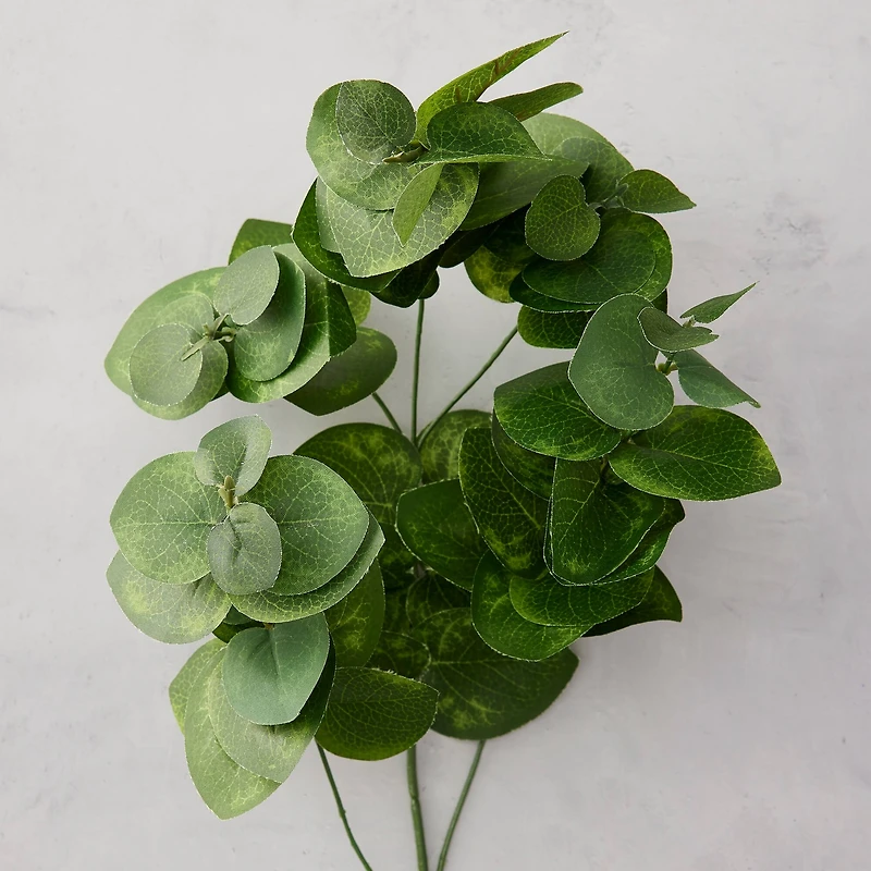 12 Pack: Green Eucalyptus Branch by Ashland