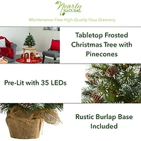 2ft. Pre-Lit Frosted Pine Artificial Christmas Tree with Pinecones, Clear LED Lights