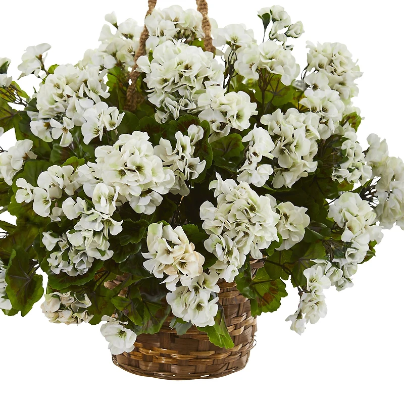 19" Geranium in Hanging Basket