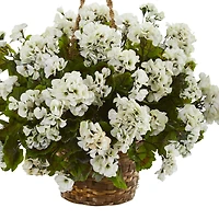 19" Geranium in Hanging Basket